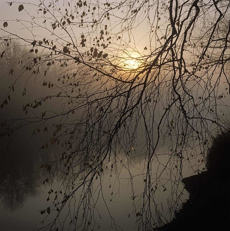 Туманный восход в октябре - Сергей Курников