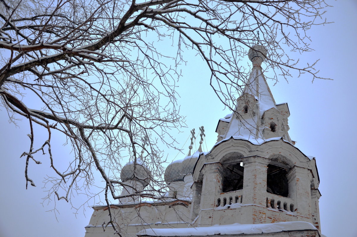 Вологда. Церковь Иоанна Златоуста (Мироносицкая церковь) - Ольга Кирсанова