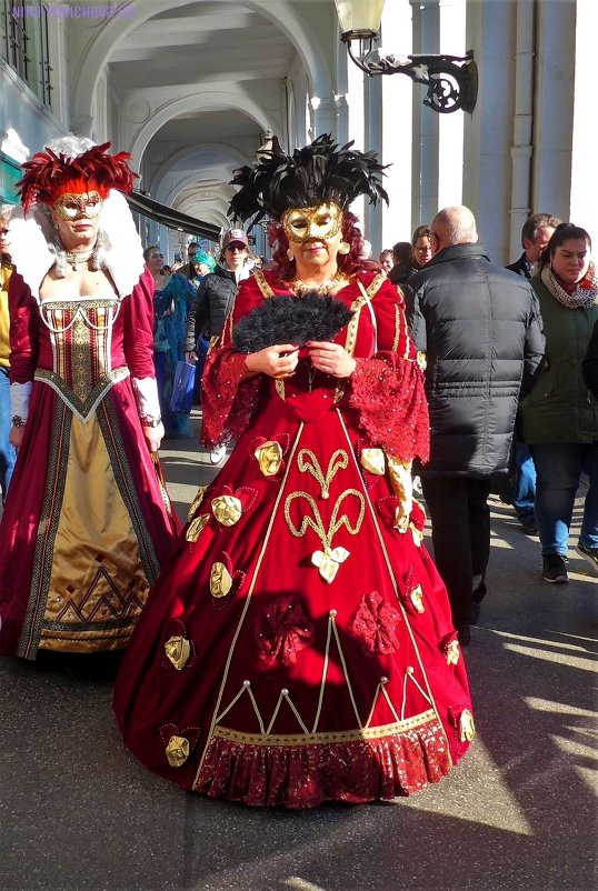 Venezianischer Karneval in Hamburg - Nina Yudicheva