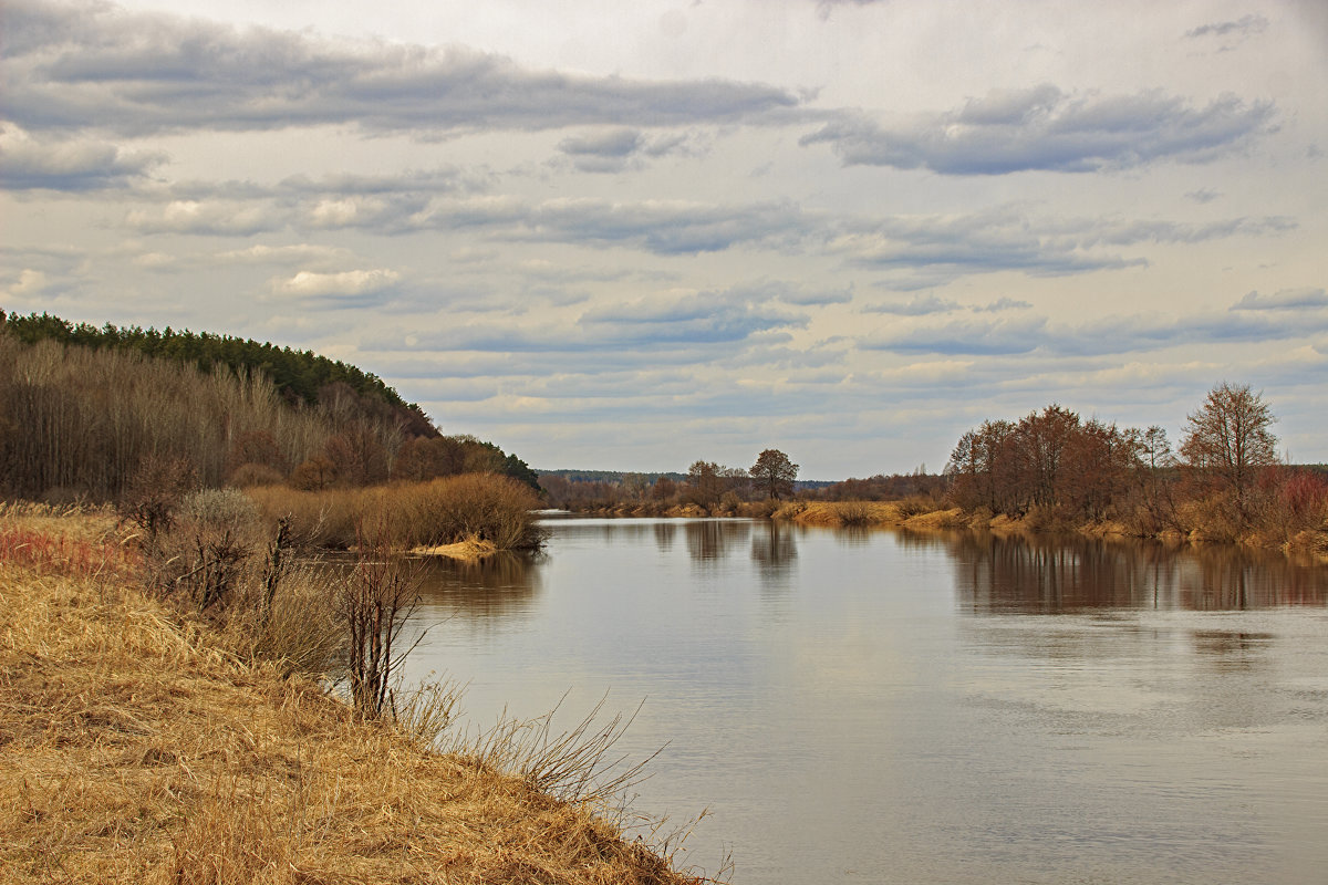 река Ипуть - оксана 