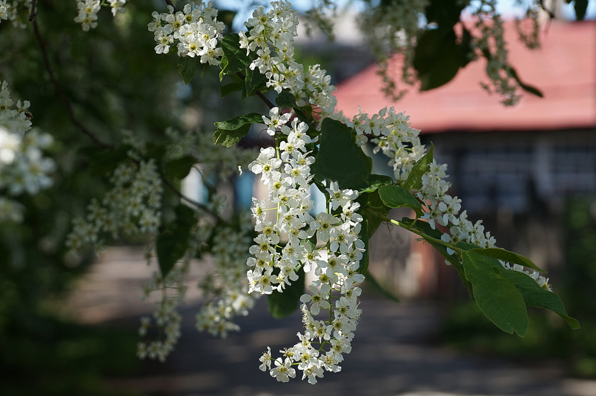 Весна на Заречной улице - Галина Кан