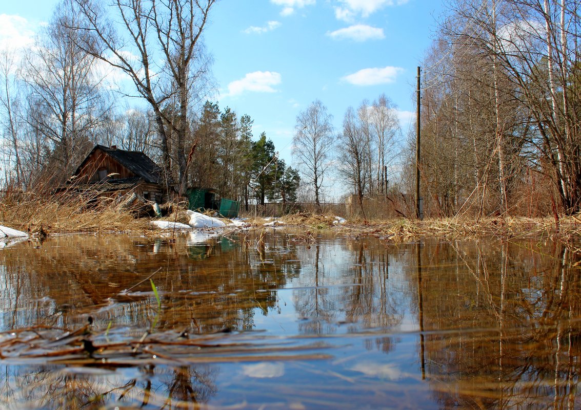 Водная гладь - Милагрос Экспосито