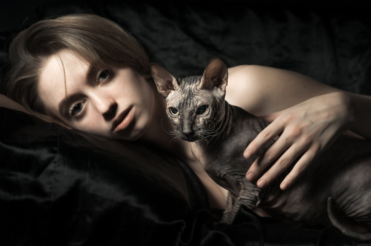 Портрет с кошками - Вячеслав Владимирович
