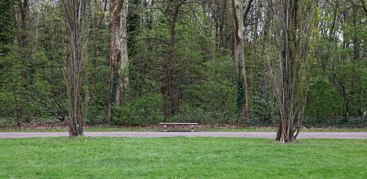 Одинокая скамейка - Фотограф в Париже, Франции Наталья Ильина