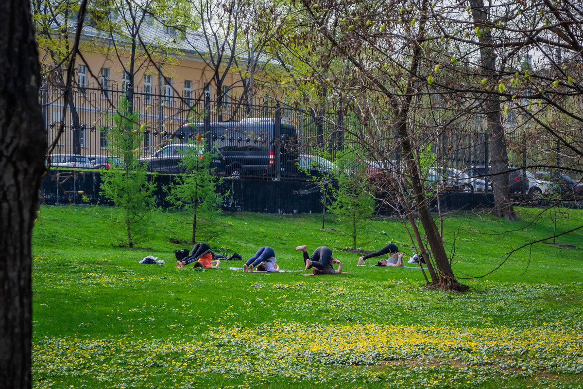 HALASANA 2. ХАЛАСАНА 2 - Сергей Янович Микк