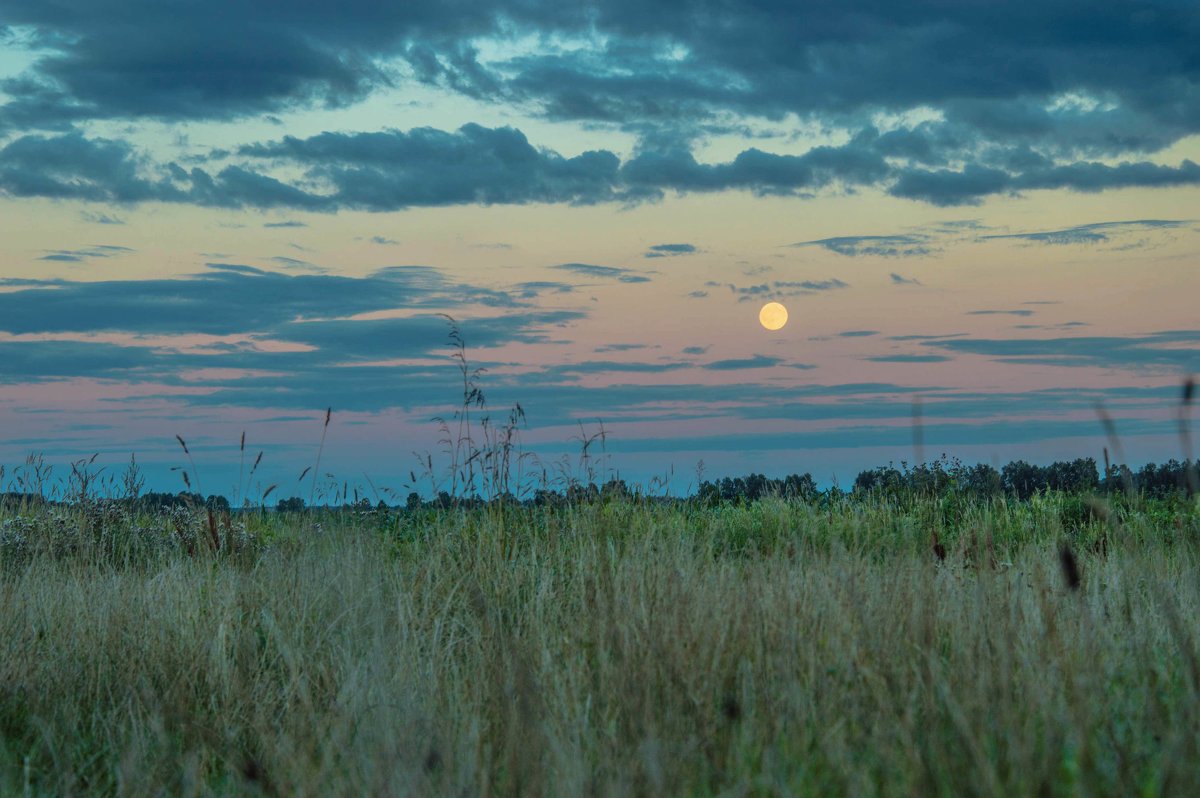 Лунный вечер - Надежда Сигиневич
