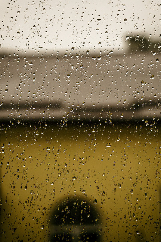 Дождливый день - Виталий Павлов