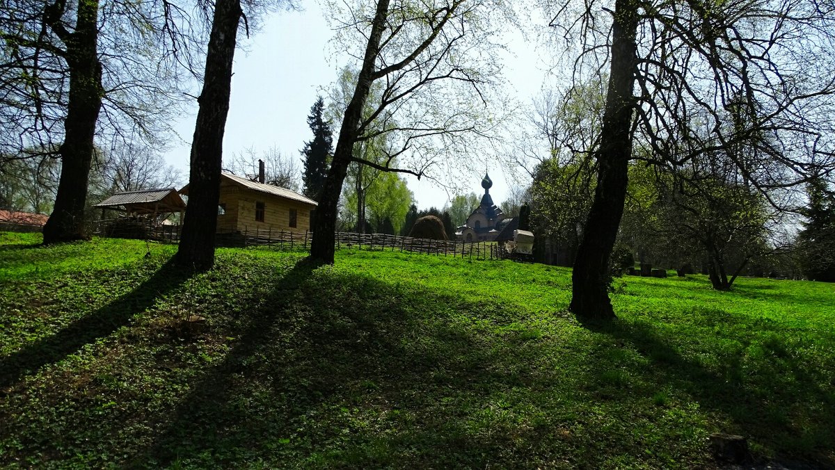 Весна в деревне (из поездки по области) - Милешкин Владимир Алексеевич 