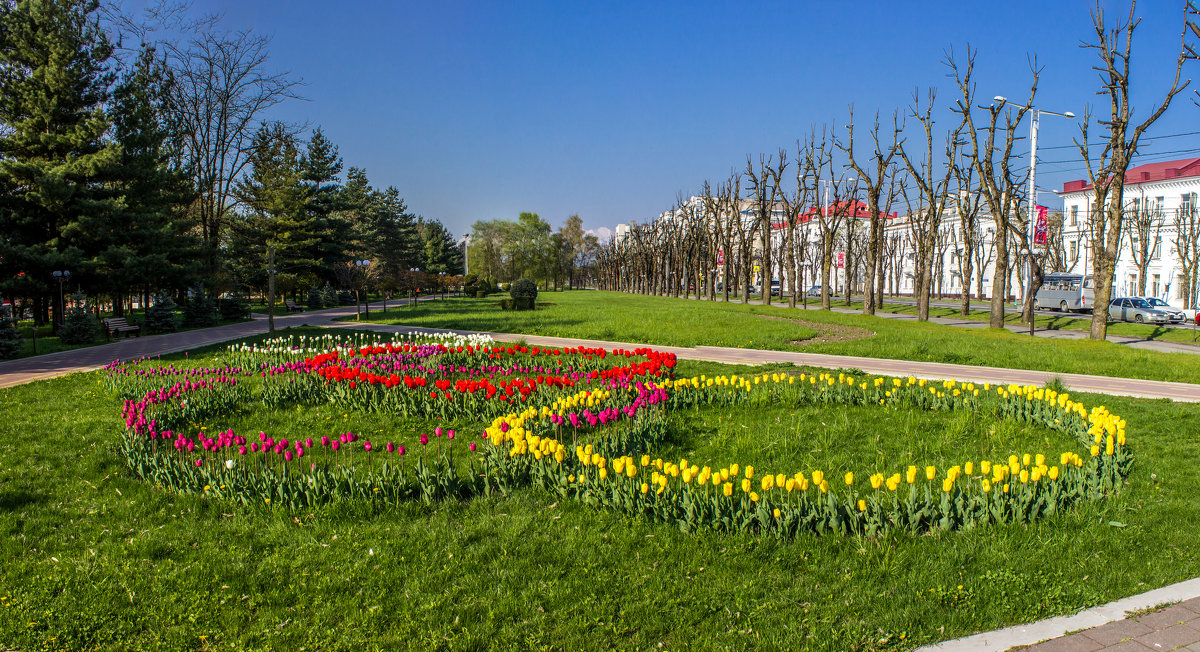 аллея Олимпийской славы IMG_3952 - Олег Петрушин