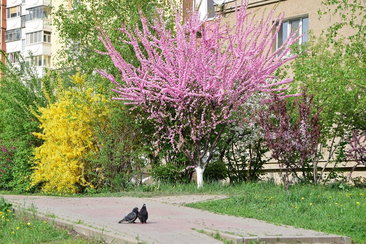 Пробуждение. - Елена Иванова