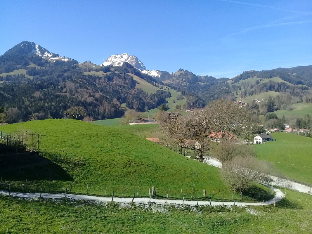 Весна в Швейцарии... - mirtine 