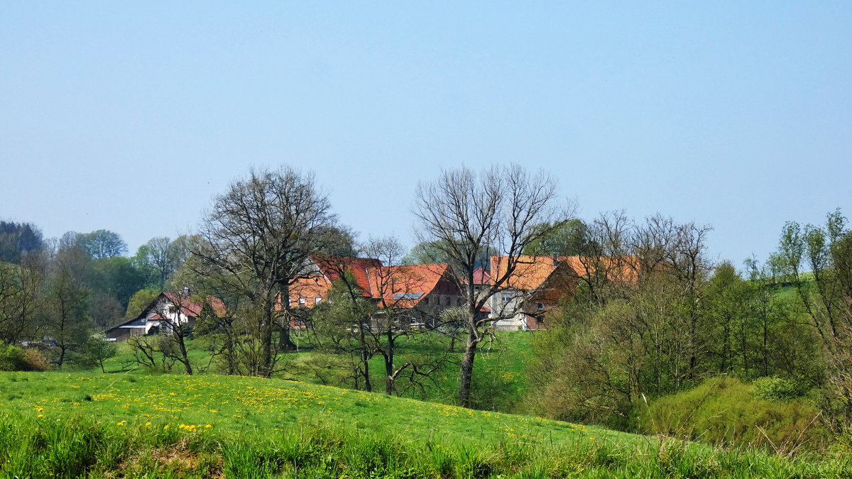 Деревня и деревья - Heinz Thorns