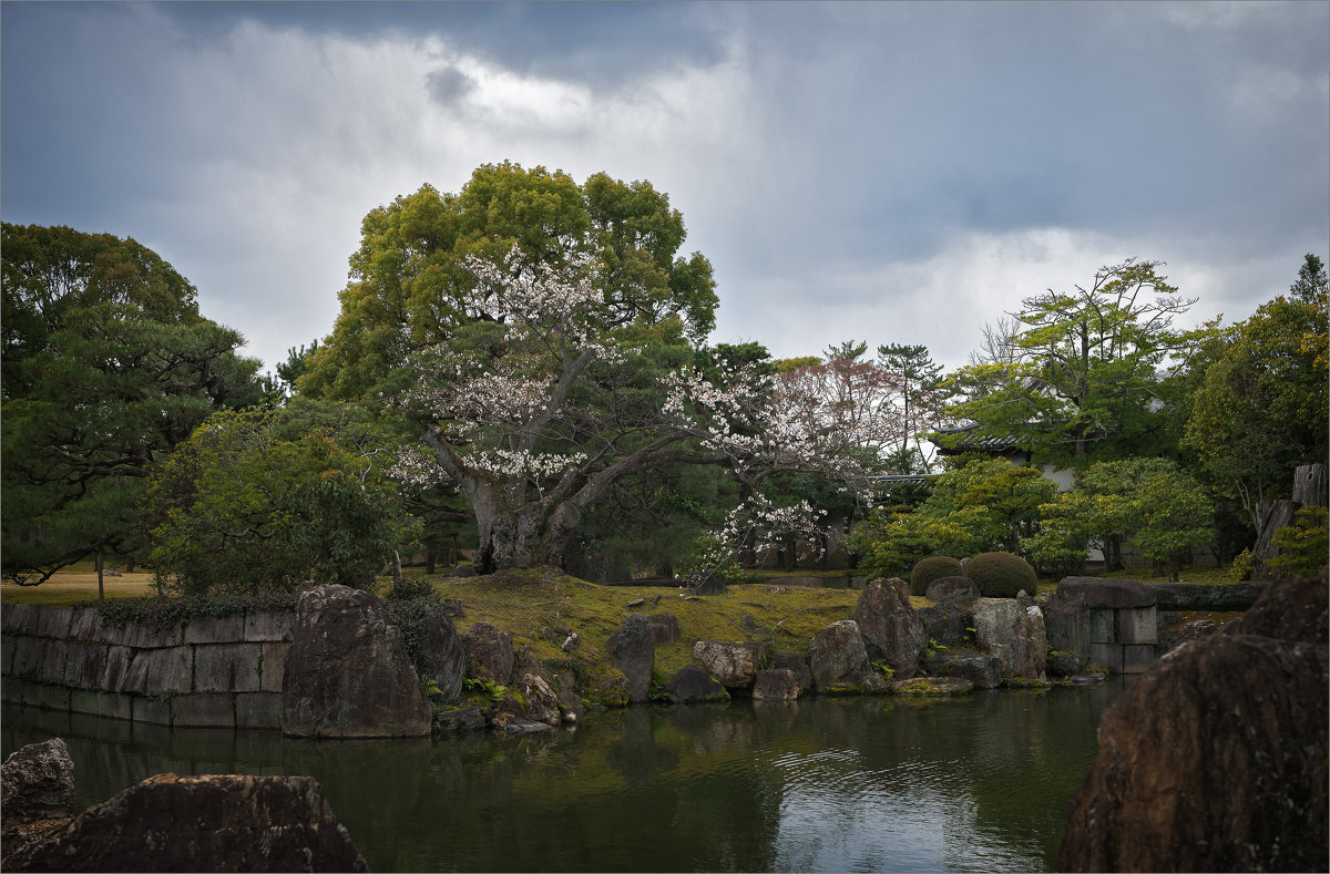 Сад камней в замке сёгуна Нидзё в Киото - Shapiro Svetlana 