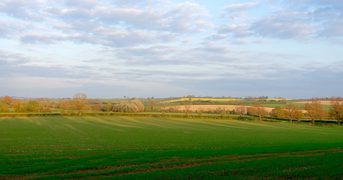 Весна. Northamptonshire, England - Lyudmyla Pokryshen