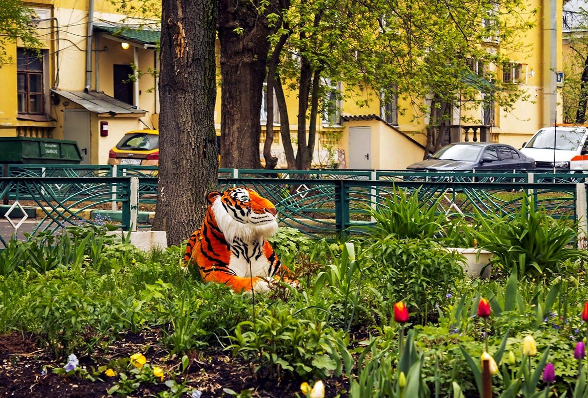 Московсеий дворик - Александр 