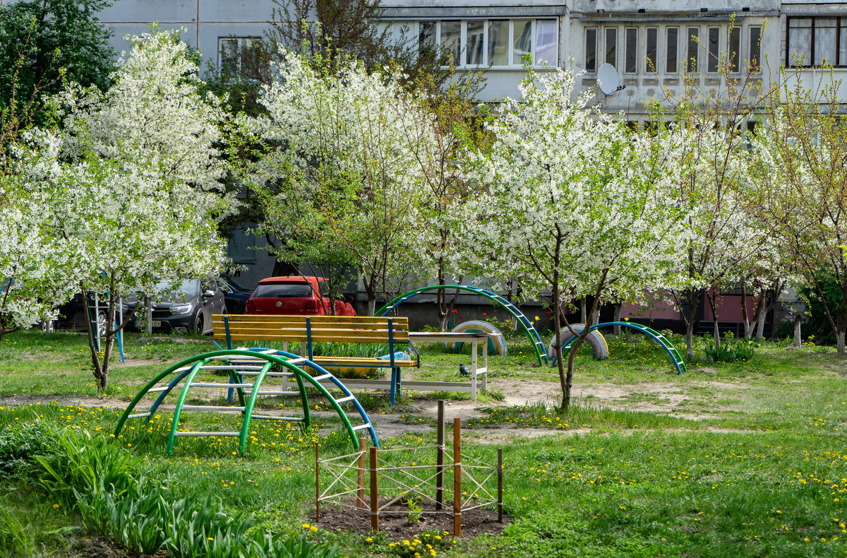 Весна в нашем дворе - Владимир Кроливец