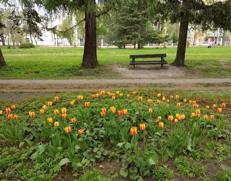 Ботанический сад в весеннем исполнении - Галина Бобкина