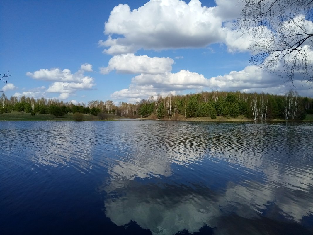 Весеннее настроение - Роман Царев