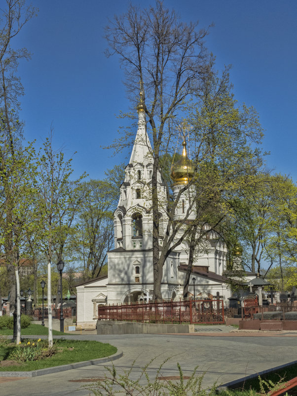 Донской монастырь - marmorozov Морозова