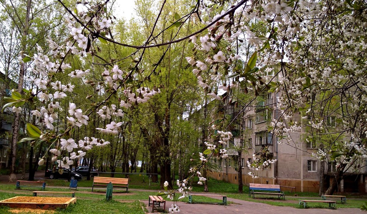 Весна в городе - Елена Семигина