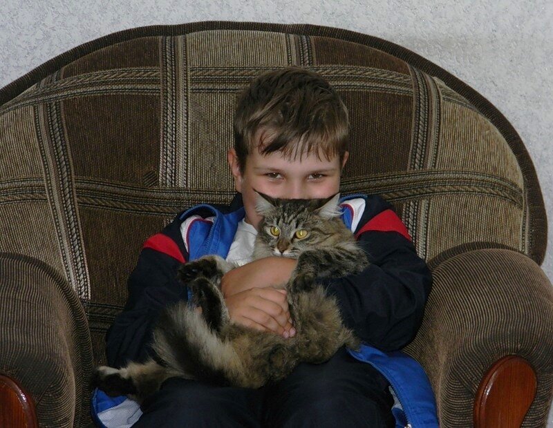 Любитель кошек - Вера Щукина