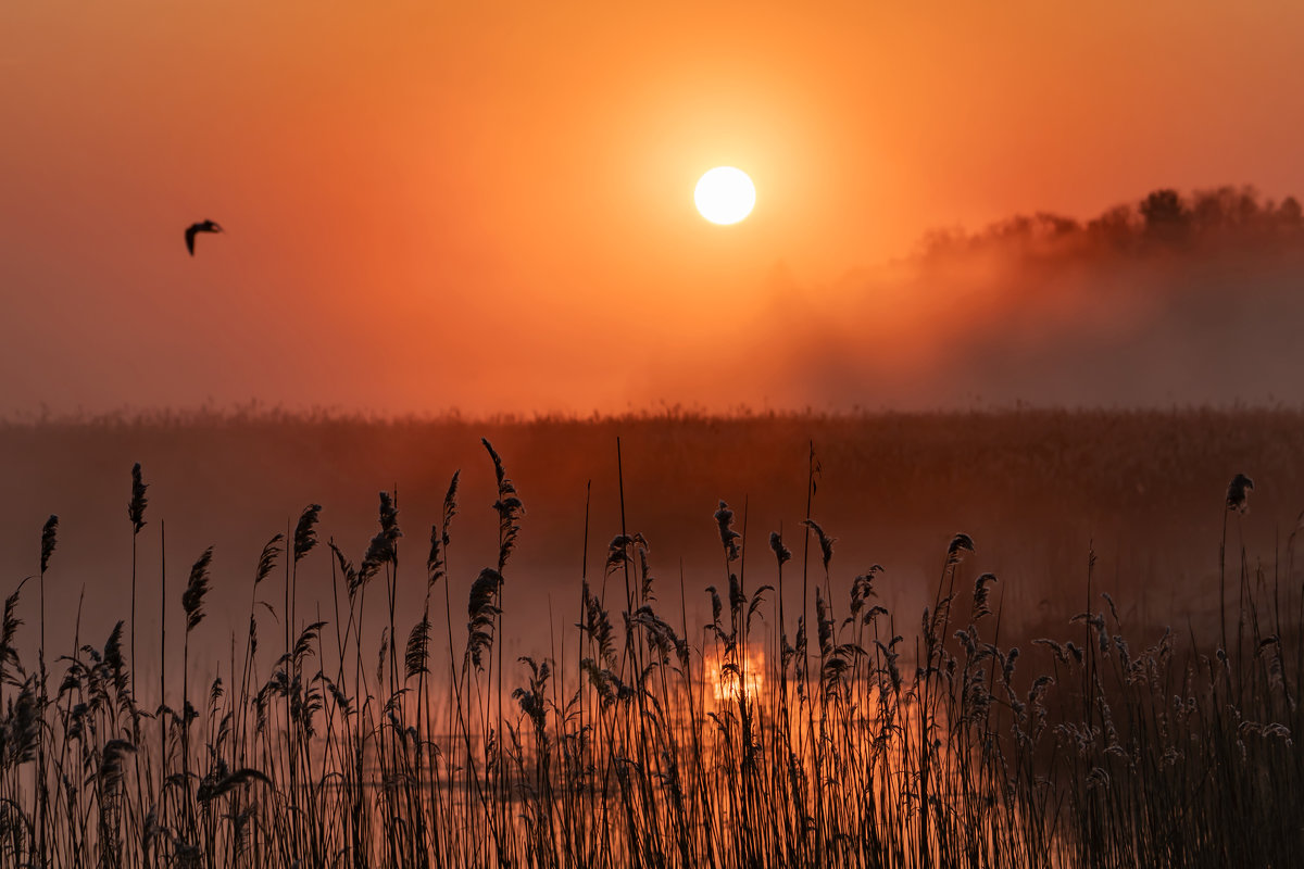 восход солнца - Viktor Makarov
