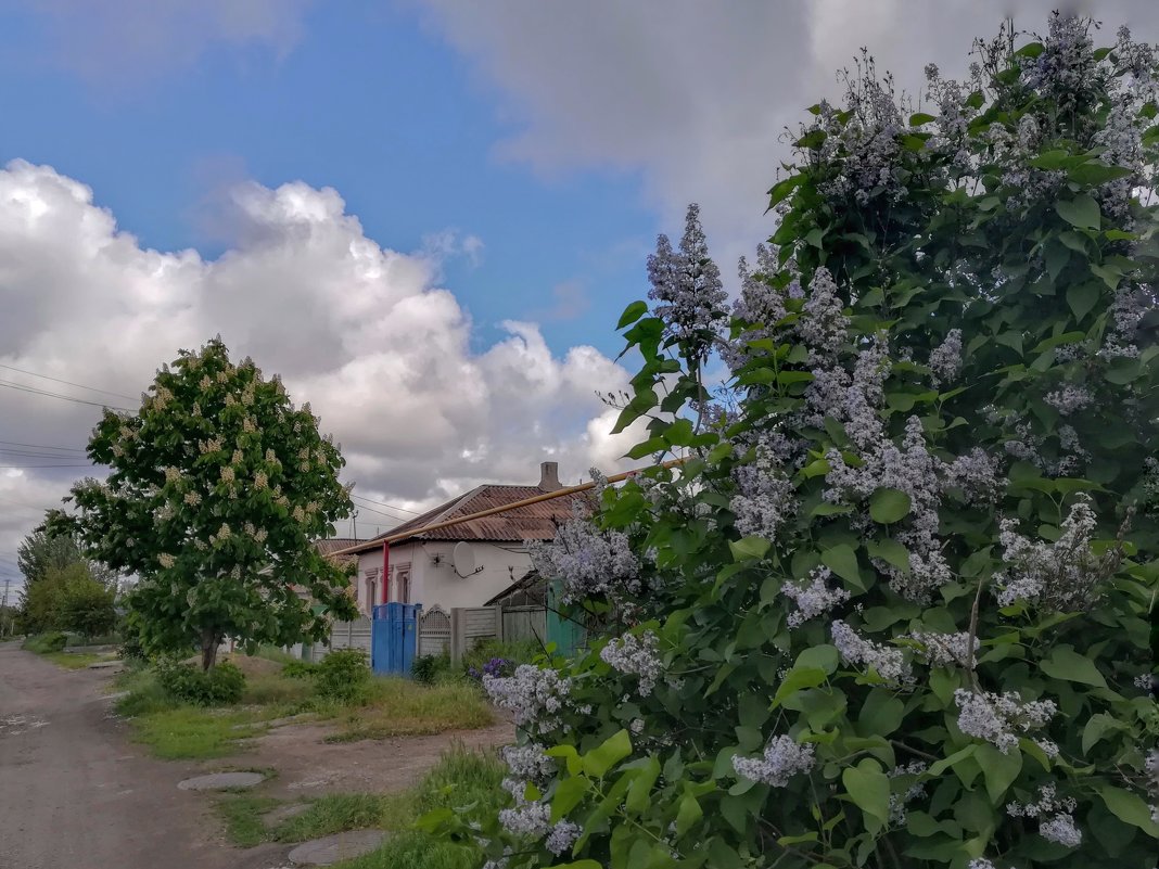 Весна в деревне - Дмитрий фотограф