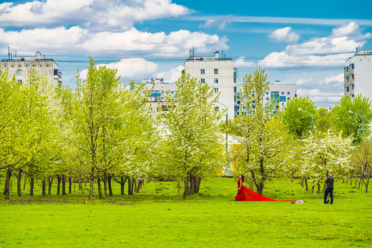 Москва. Весна. Коломенское. - Игорь Герман