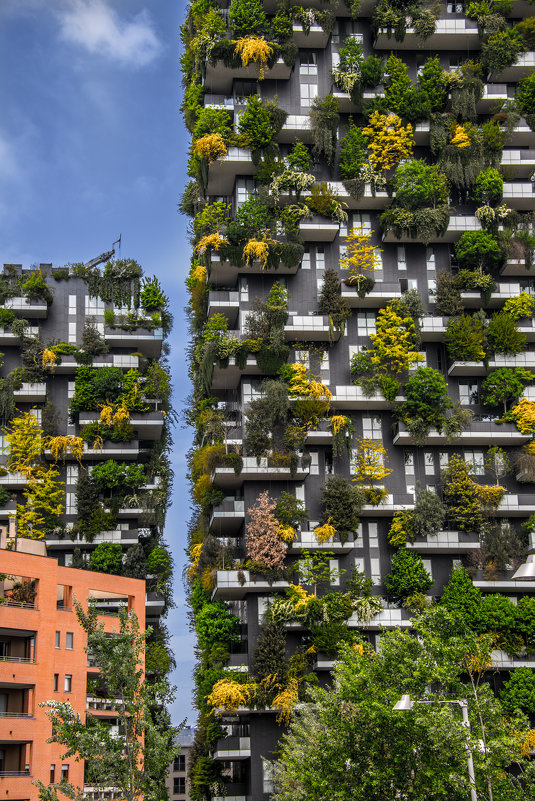 Bosco verticale Milano - Konstantin Rohn