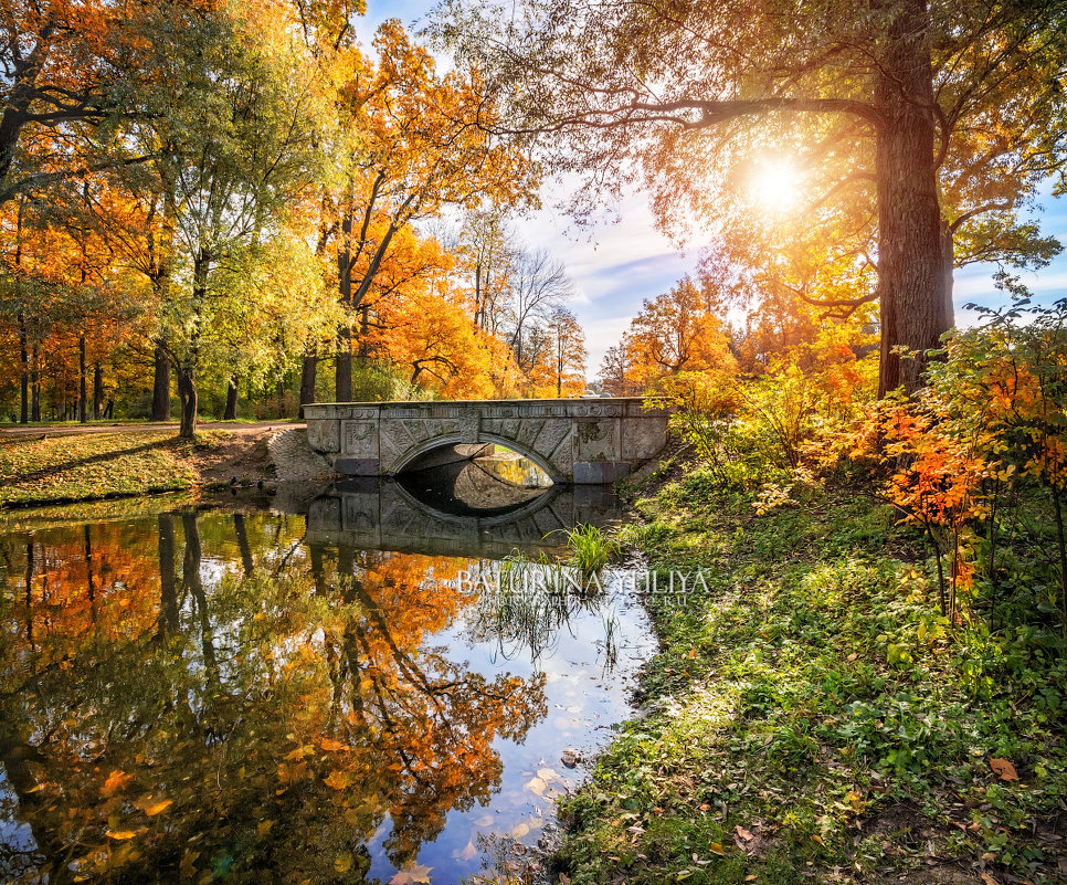 Осенний пейзаж и мост - Юлия Батурина