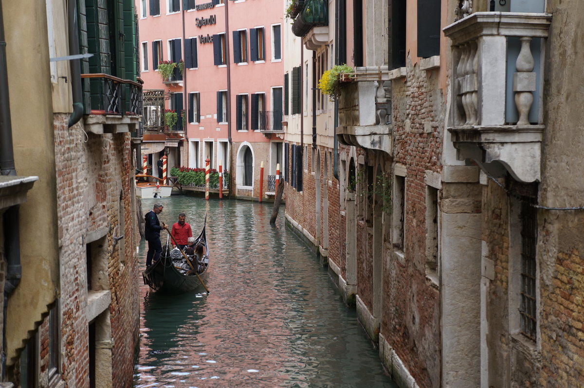 Venezia ... - Алёна Савина