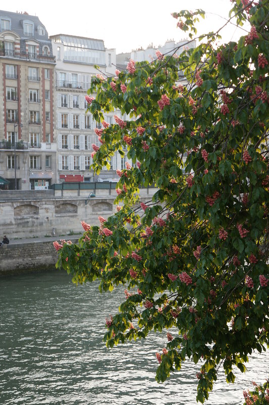 Весна в Париже .... - Алёна Савина