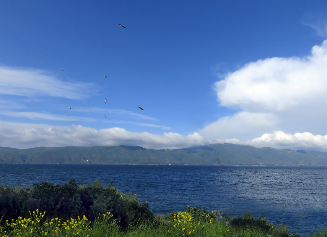 Озеро Севан - Наталья (D.Nat@lia)
