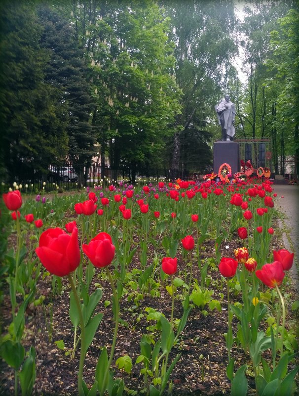 Памятник неизвестному солдату - Любовь 