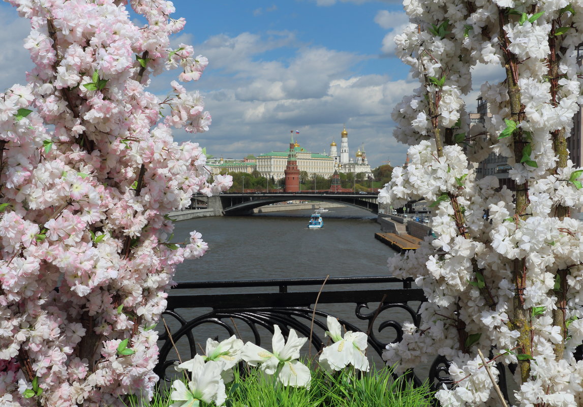 Вид на кремль - Андрей 