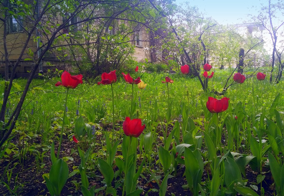 в старинной усадьбе - Любовь 