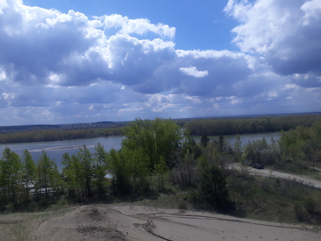 Прогулка по лесопарку - Олег Афанасьевич Сергеев