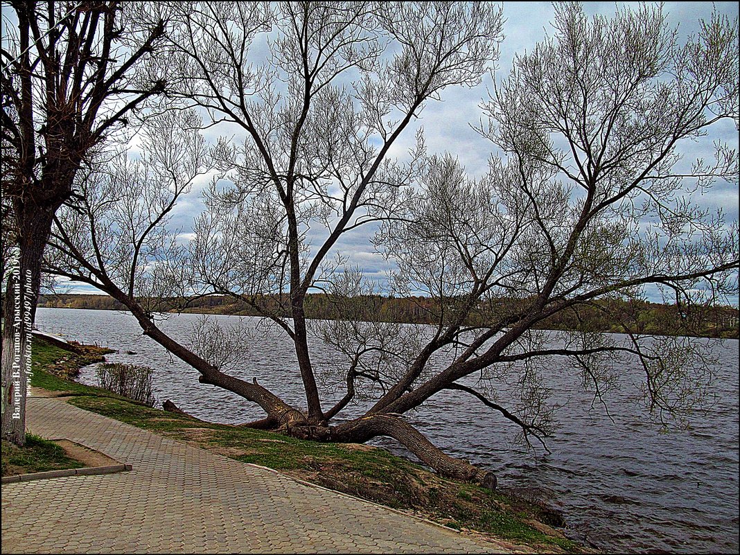 МИНИ-КРУИЗ ПО ГОРОДАМ ВОЛГИ-2019 - Валерий Викторович РОГАНОВ-АРЫССКИЙ