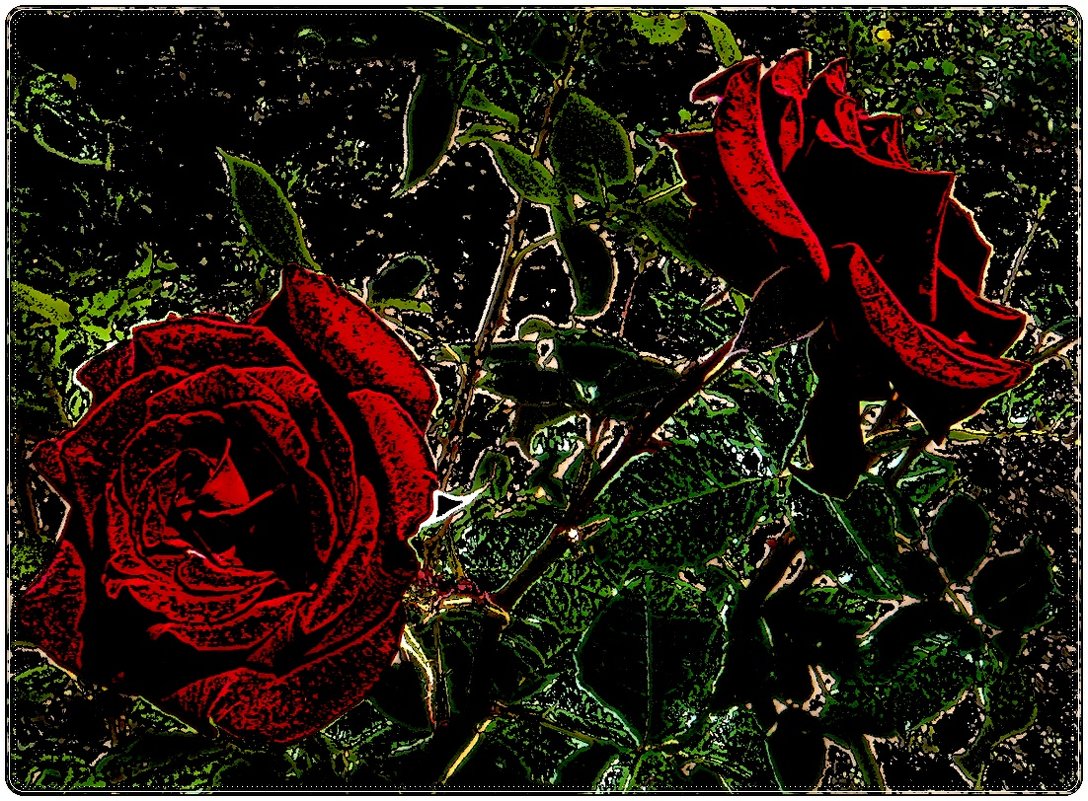 В мире красных роз - Нина Корешкова