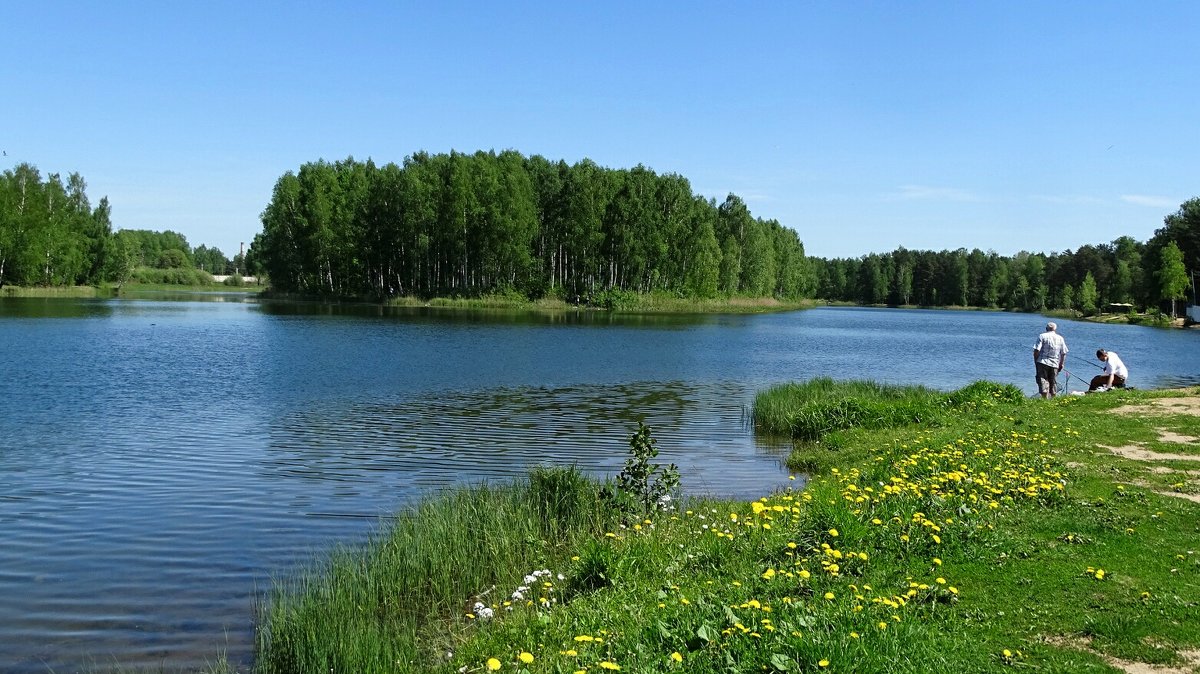 Майским днём на озере - Милешкин Владимир Алексеевич 