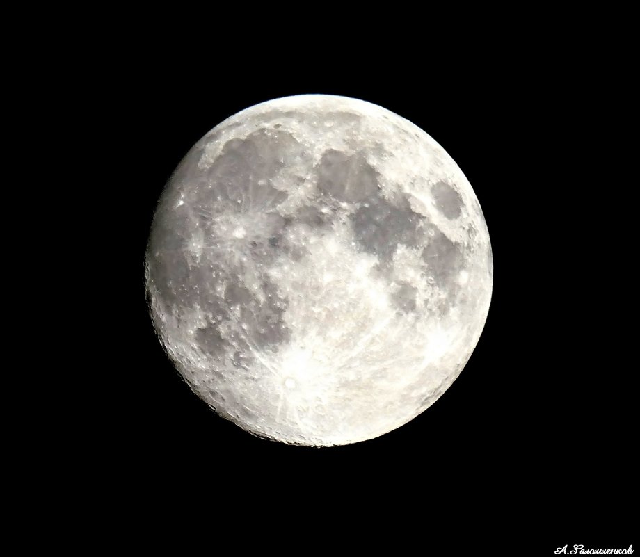 Луна принадлежит всем, и каждый из нас имеет право на нее выть! :-) - Андрей Заломленков