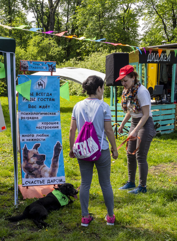 благотворительная выставка-фестиваль бездомных животных - Юрий Шамсутдинов