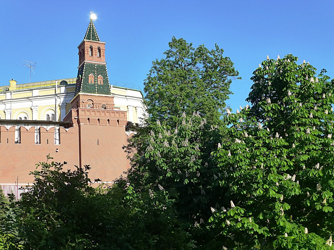 Александровский сад - Лидия Бусурина