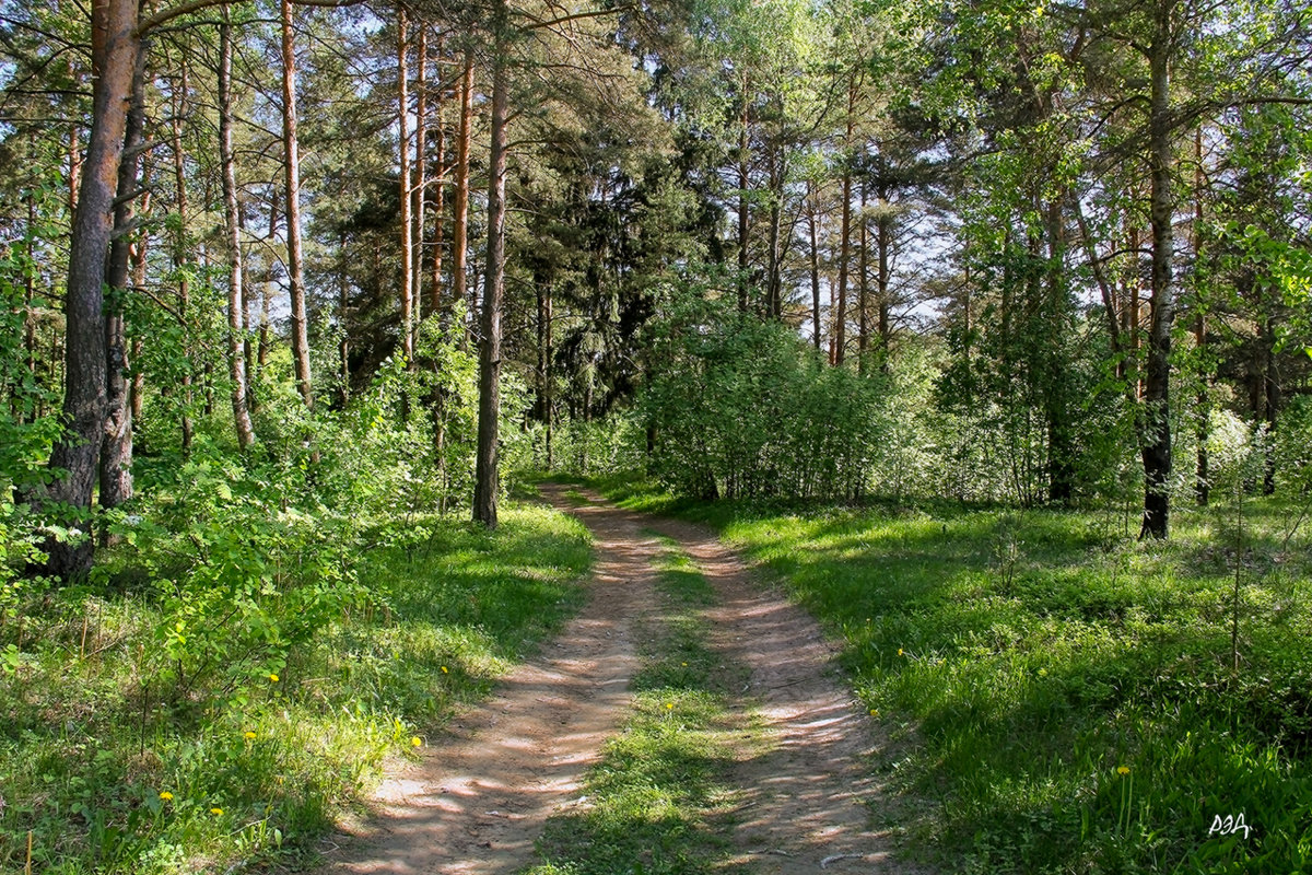 *** - Роланд Дубровский