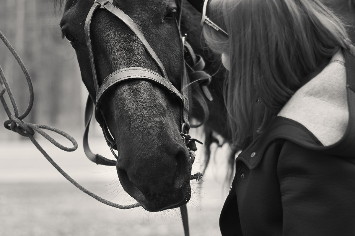 horse - Ирина Секачева