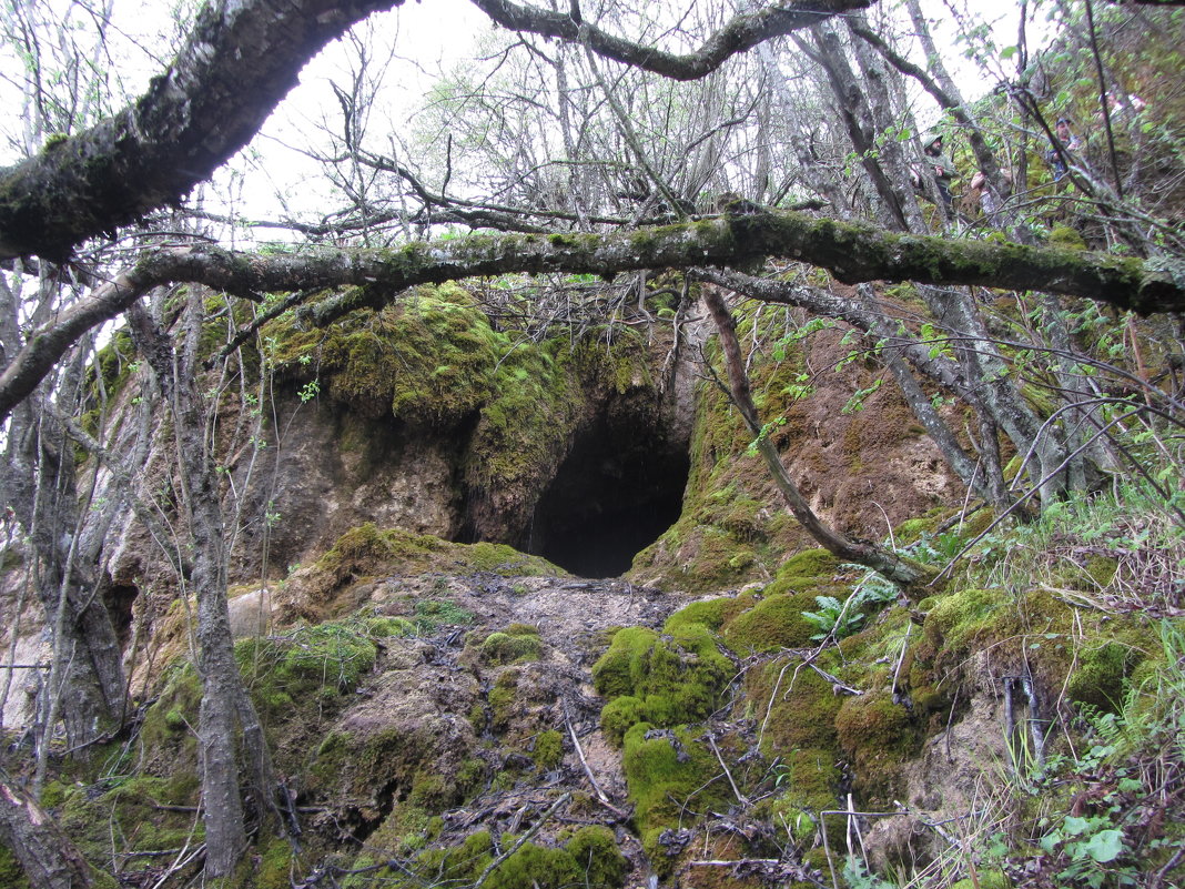 Пещера - Виталий Купченко