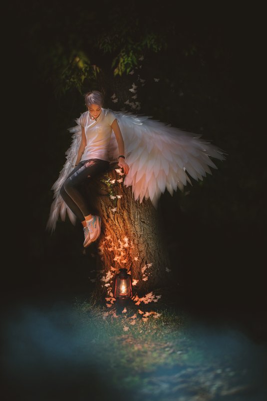 wings - Vitaliy Dankov