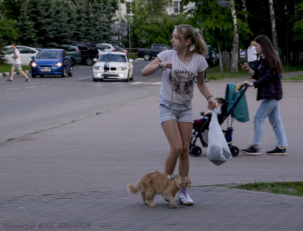 Девочка с котом.. - Алексей Архипов