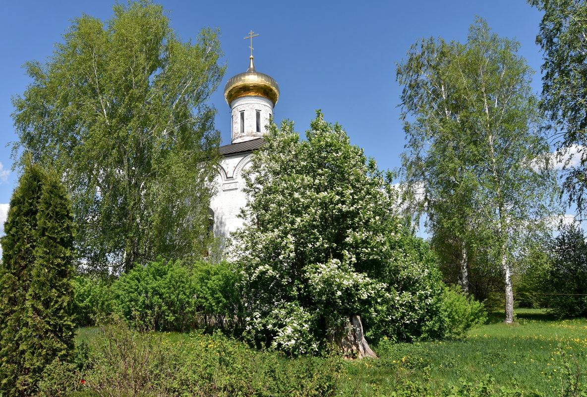 Церковь Михаила Малейна - Леонид Иванчук