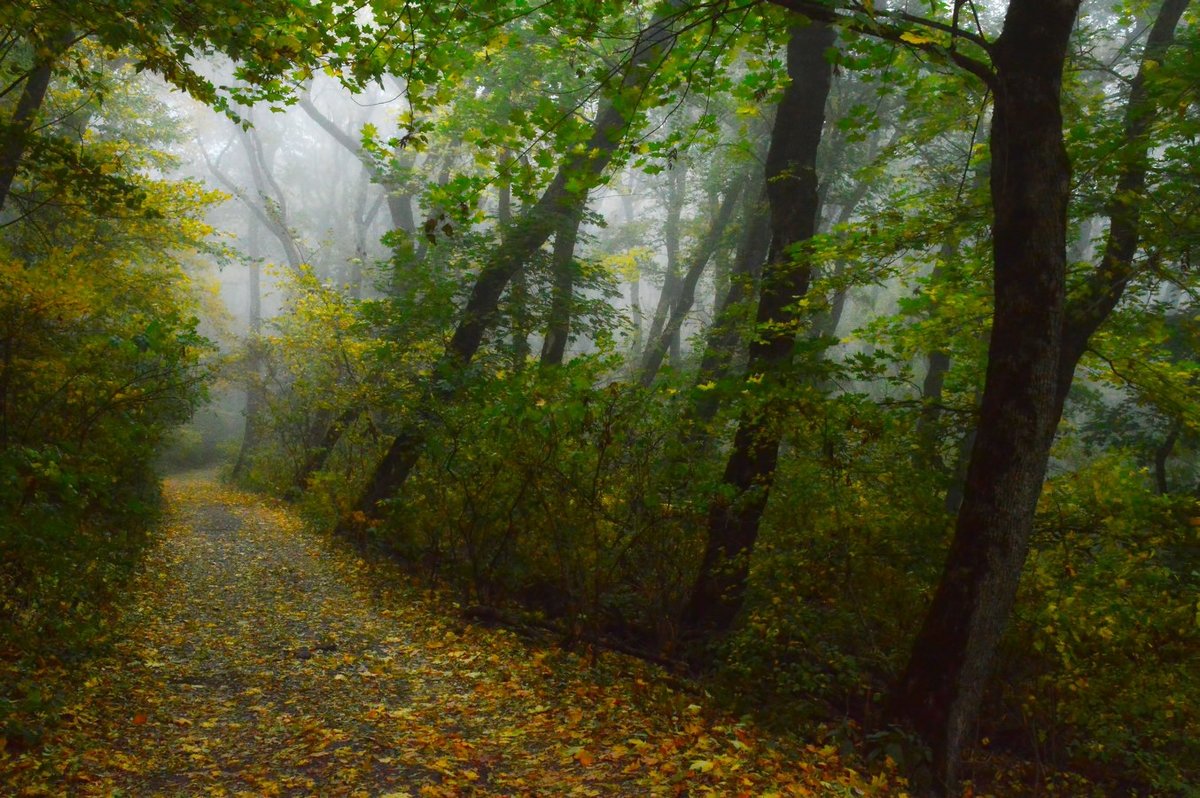 В осеннем парке........ - Юрий Цыплятников